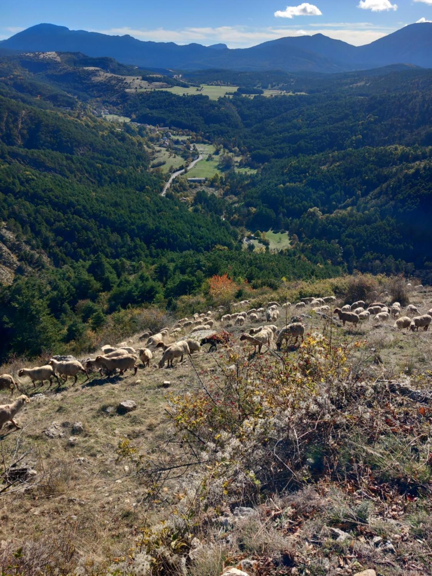Gite La Mountagna Peyroules 외부 사진