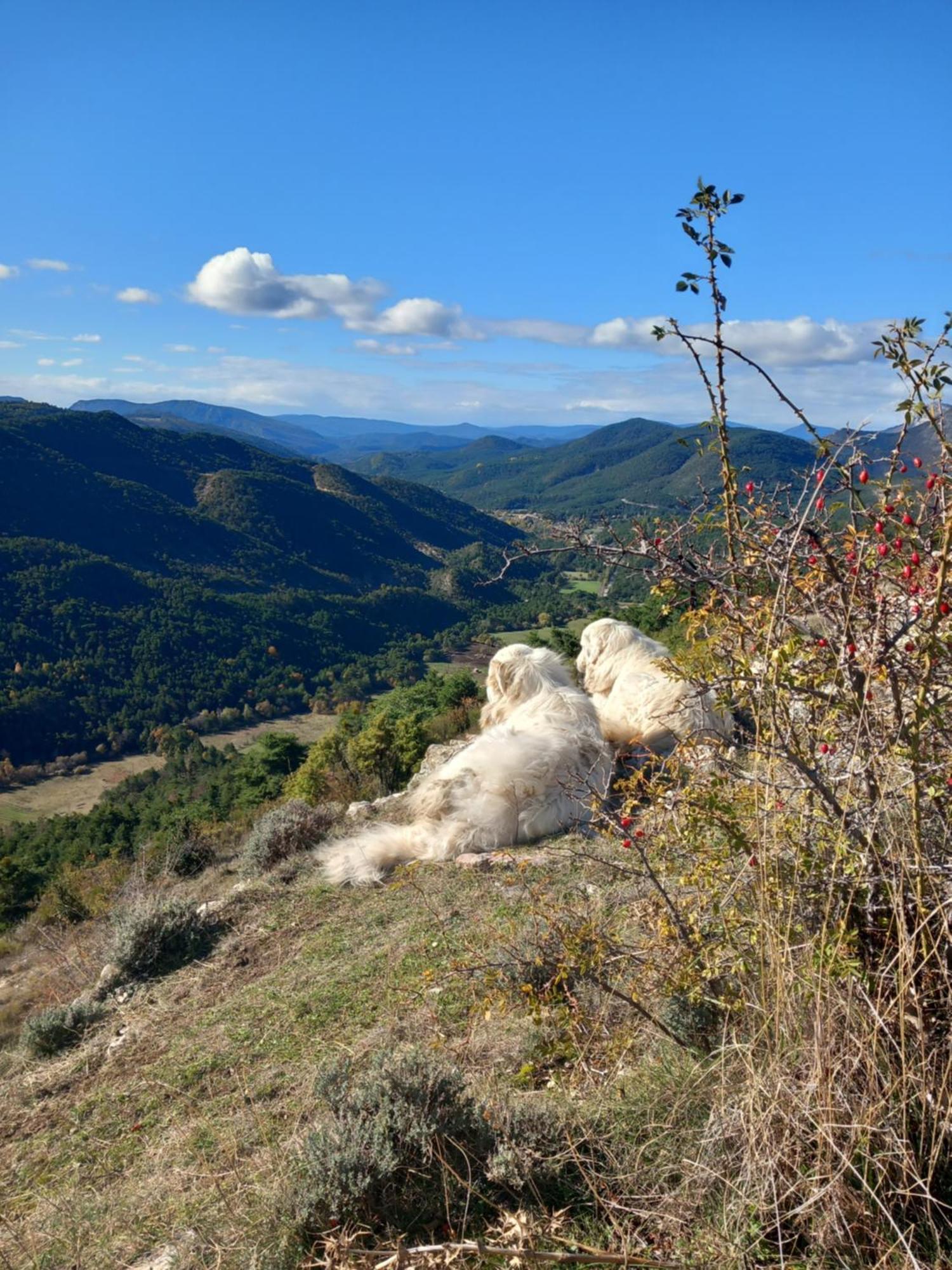 Gite La Mountagna Peyroules 외부 사진
